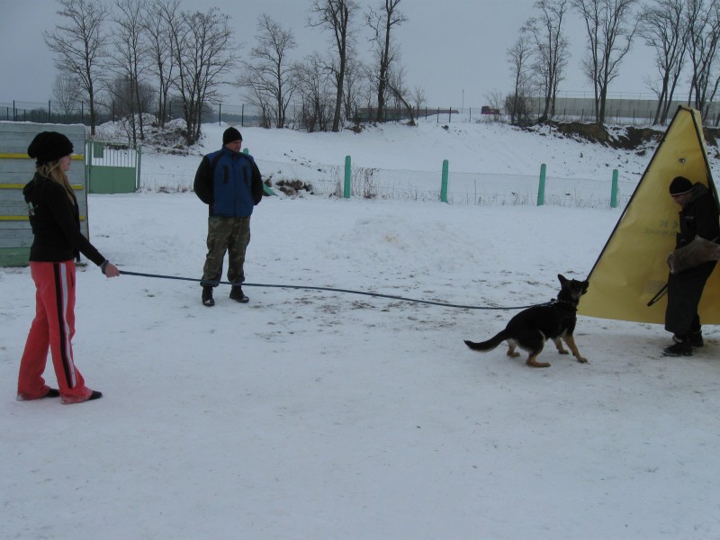 obrazok_062