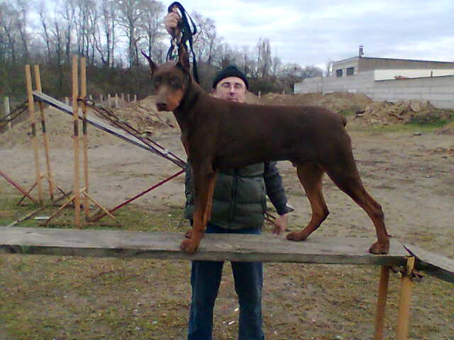Snimka004