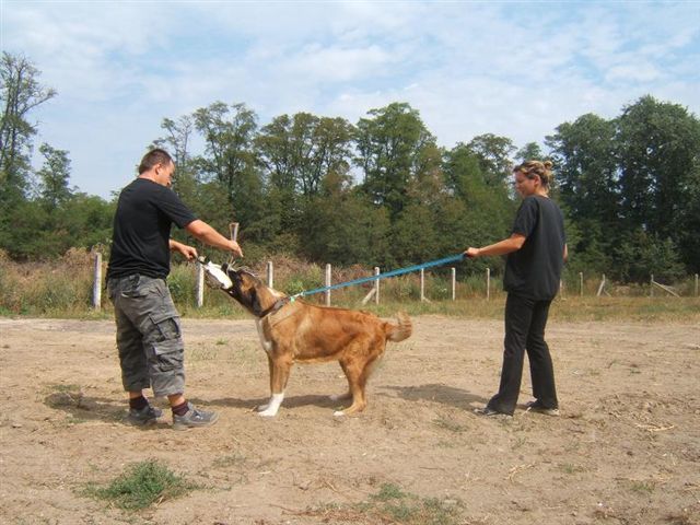 2007.08.20_012uprava