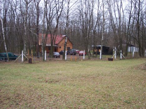 100_0445 (1)