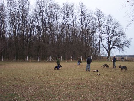 100_0451 (1)