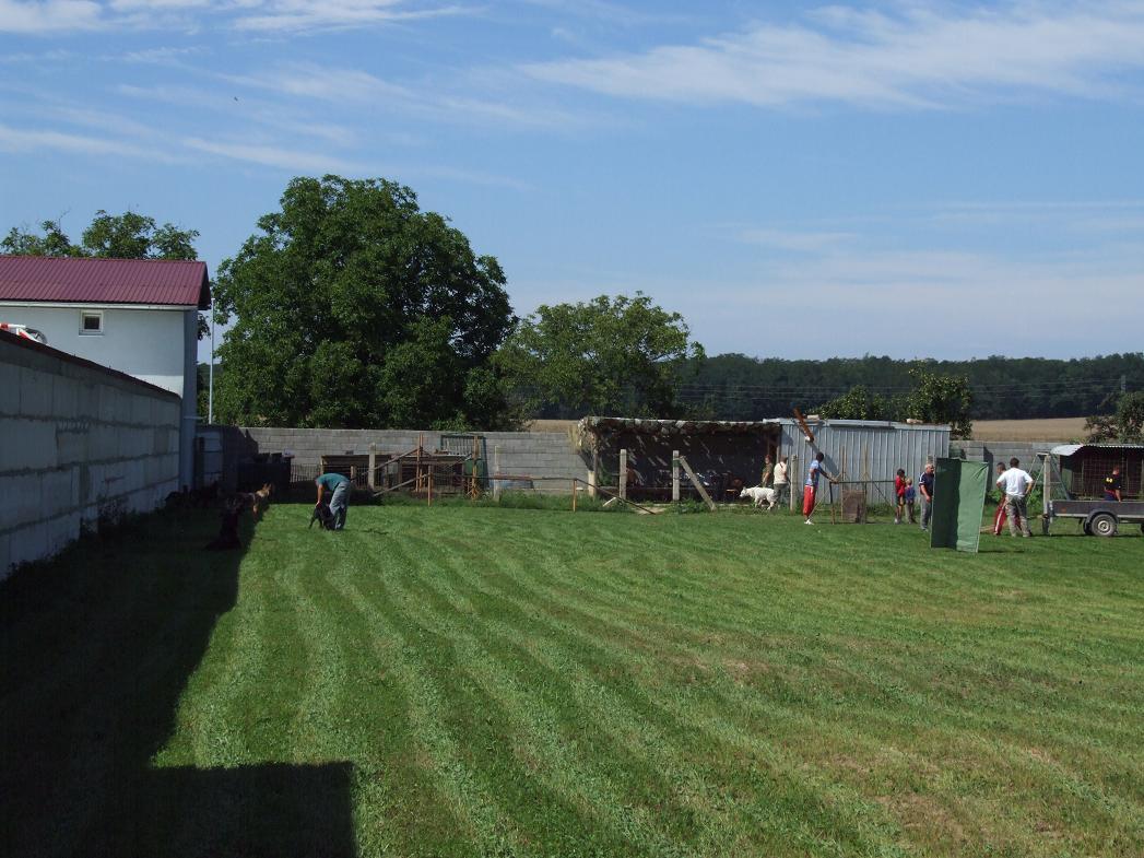 2008b