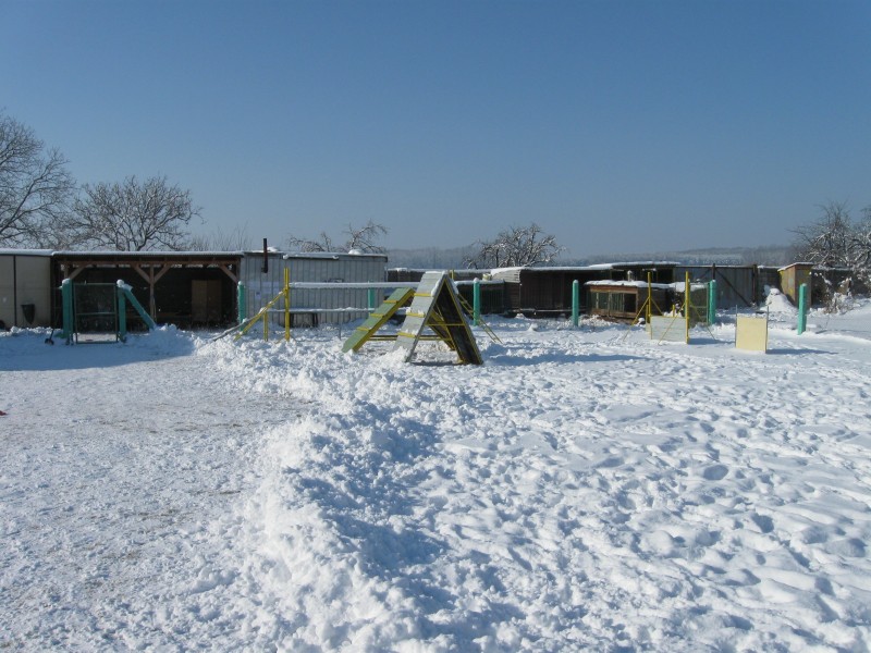 obrazok_020