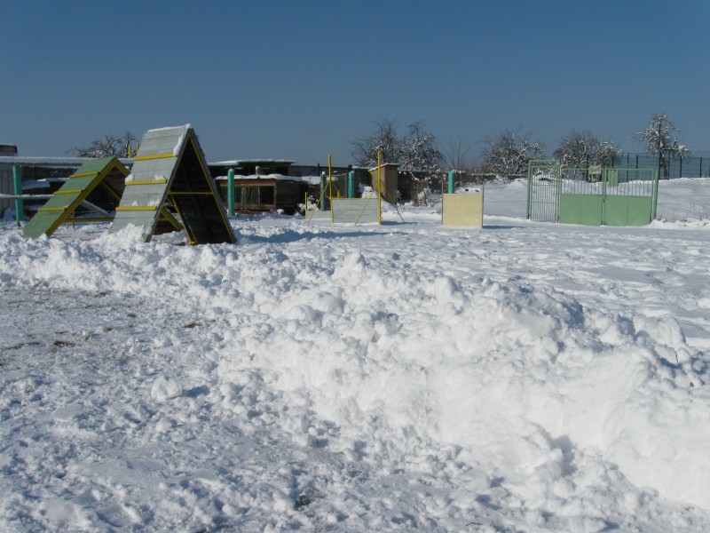 obrazok_023