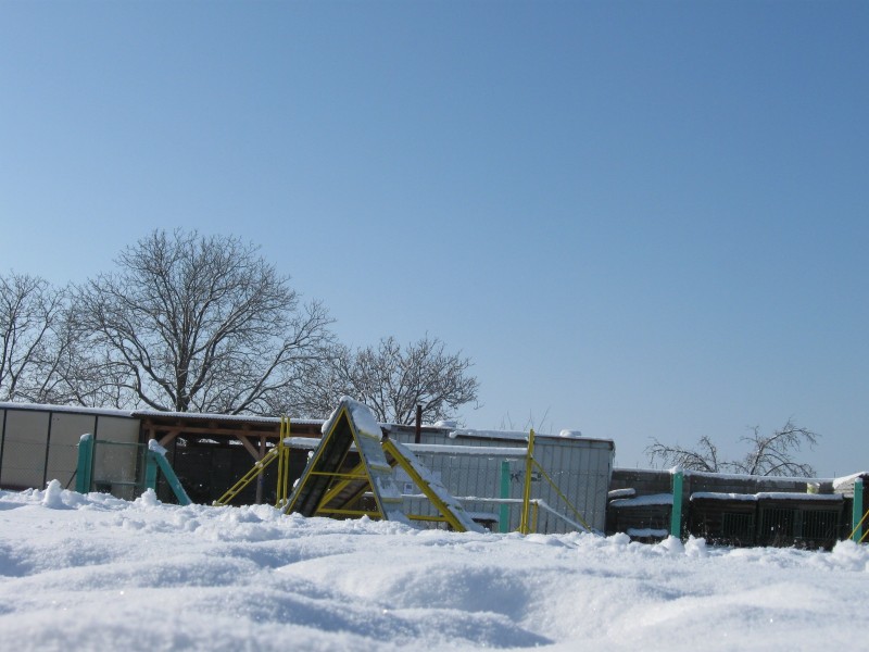 obrazok_048
