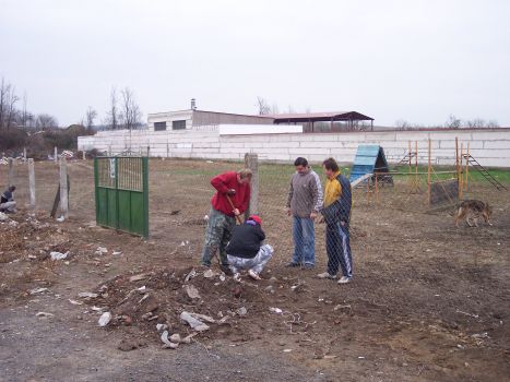 2006m