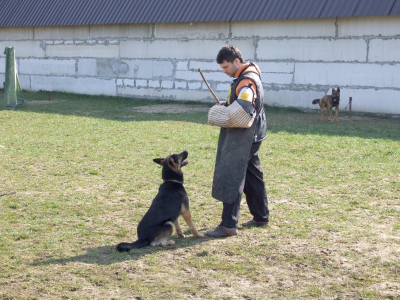 juraj_2